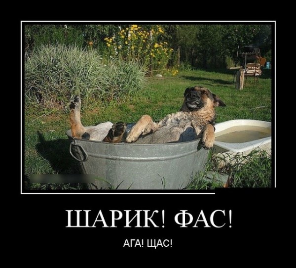 Как объяснить жене, что, несмотря на то, что сыну всего три месяца, он хочет, чтобы его папа играл в LEGO уже сейчас? анекдоты