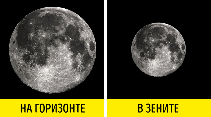 13 ответов на разные «почему», которые откроют вам несколько тайн нашего мира