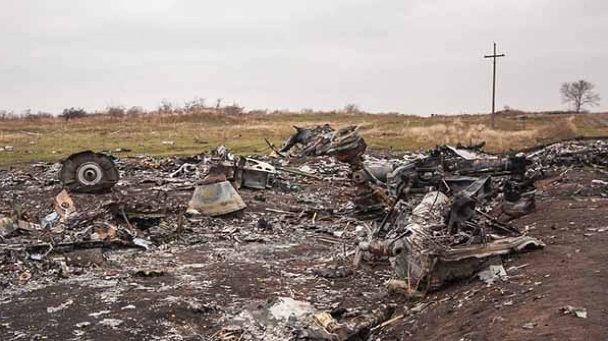 Политолог Пинчук назвал крушение MH17 частью спецоперации Киева