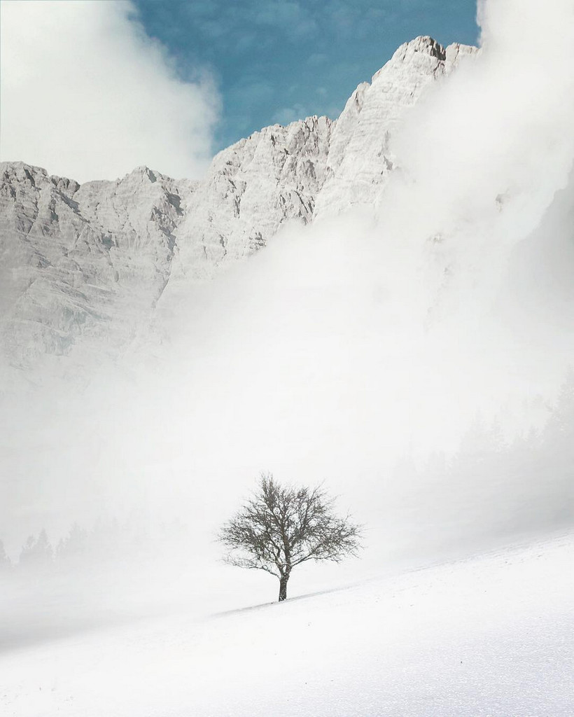   Hasselblad Masters Award    