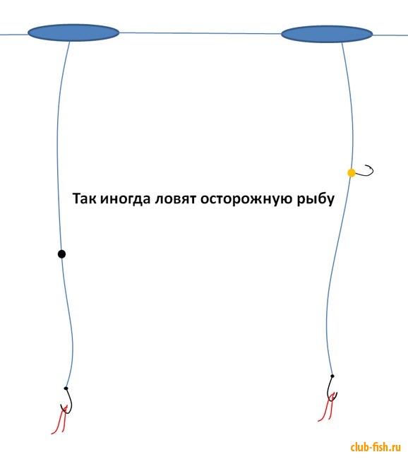 Простая снасть для ловли зимой осторожной рыбы.