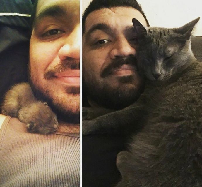 Он снял её с крыши дома, где она лежала под проливным дождем. Только посмотрите, какая красотка выросла! Он снял её с крыши дома, где она лежала под проливным дождем. Только посмотрите, какая красотка выросла! картинки