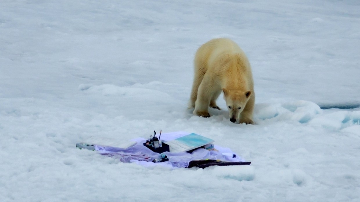 Росприроднадзор сообщил о росте числа стычек между белыми медведями и людьми