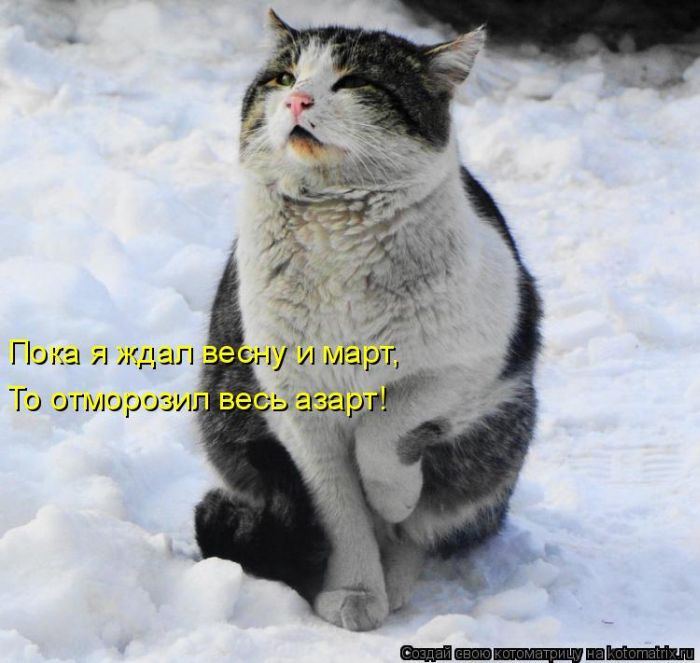 Мысли вслух :)