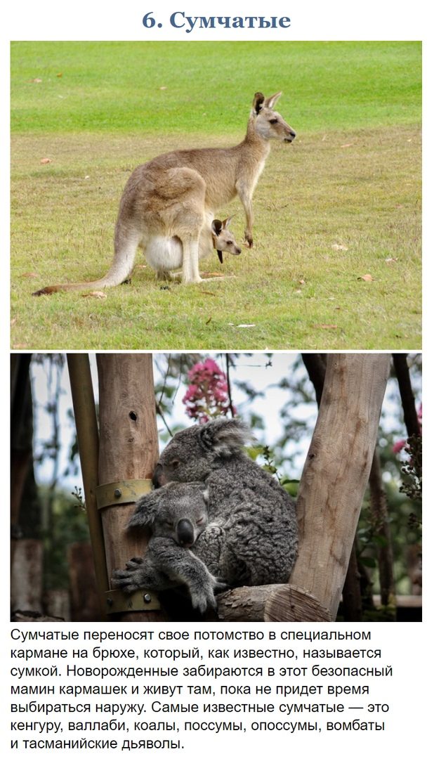 10 фото, доказывающих, что Австралия — это совершенно иной мир 10 фото, доказывающих, что Австралия — это совершенно иной мир