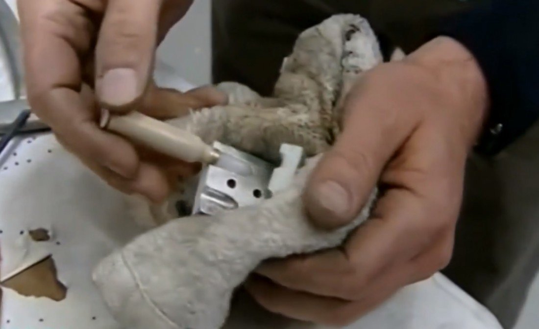 4 самых странных типов пуль