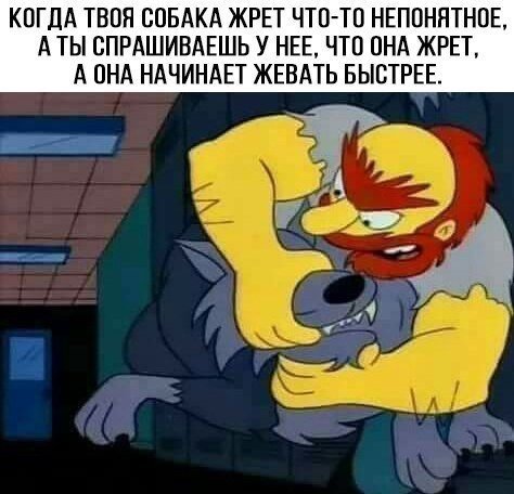 Новые прикольные фотомемы (26 шт)