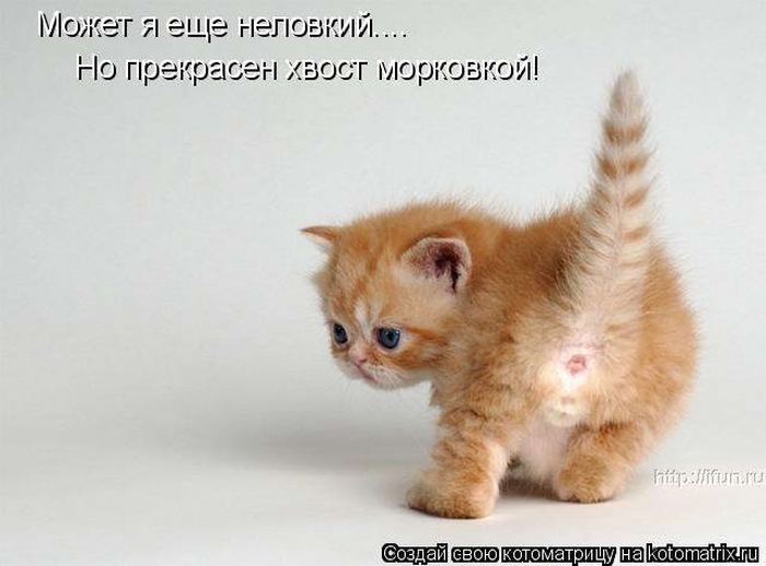 Мысли вслух :)