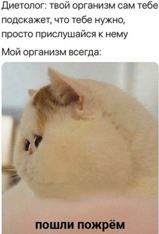 Ведь скоро Новый год! Ведь скоро Новый год!