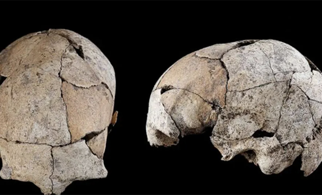 Археологи нашли поселение людей возрастом 5300 лет и обнаружили, что им кто-то делал медицинские операции Культура