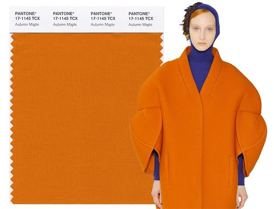 2017 Pantone fall color trend autumn maple