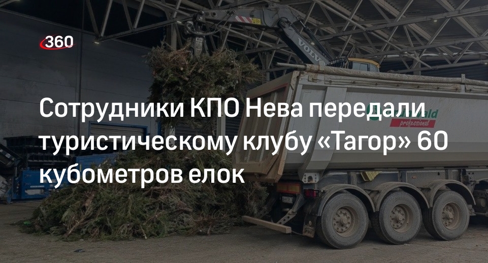 Сотрудники КПО Нева передали туристическому клубу «Тагор» 60 кубометров елок
