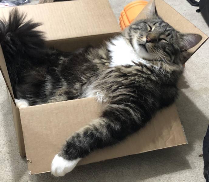 Подборка прикольных картинок  приколы,смешные картинки,юмор