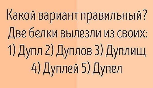 ТОНКОСТИ РУССКОГО ЯЗЫКА прикол,юмор