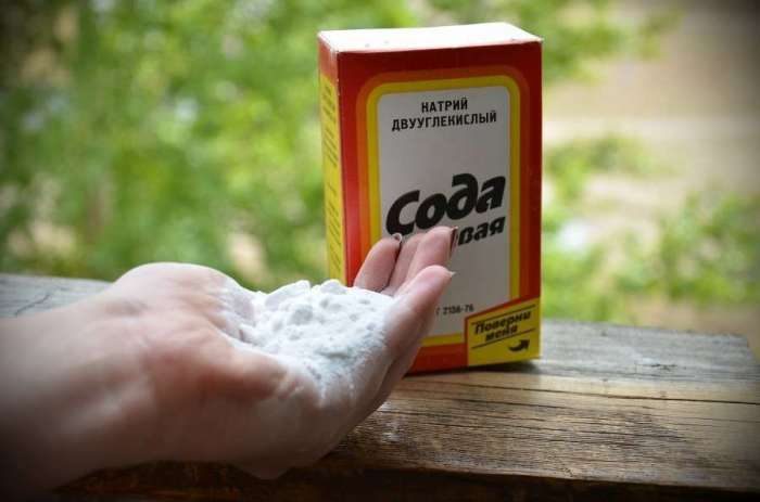 Как справиться с неприятными запахами в квартире: советы на все случаи жизни Как справиться с неприятными запахами в квартире: советы на все случаи жизни домоводство