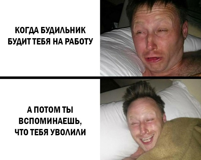 Подборка картинок. Вечерний выпуск Подборка картинок. Вечерний выпуск приколы,смешные картинки,юмор