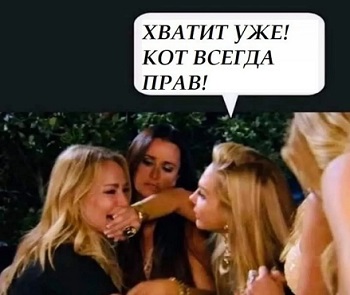 Сексуальная жизнь котэ...