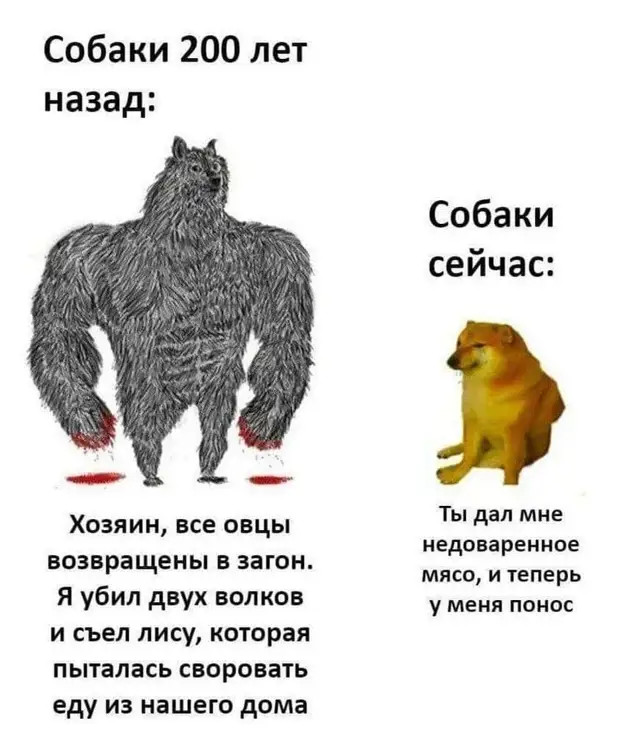- Ребята, объясните, что такое утечка мозгов? - В твоем случае, Саша, это насморк... - Ребята, объясните, что такое утечка мозгов? - В твоем случае, Саша, это насморк... домой, чтобы, прямо, минут, работает, почему, теперь, грозно, Почему, только, сейчас, вечер, сказал, вечером, работы, застаю, постели, какимто, шведом, сказать