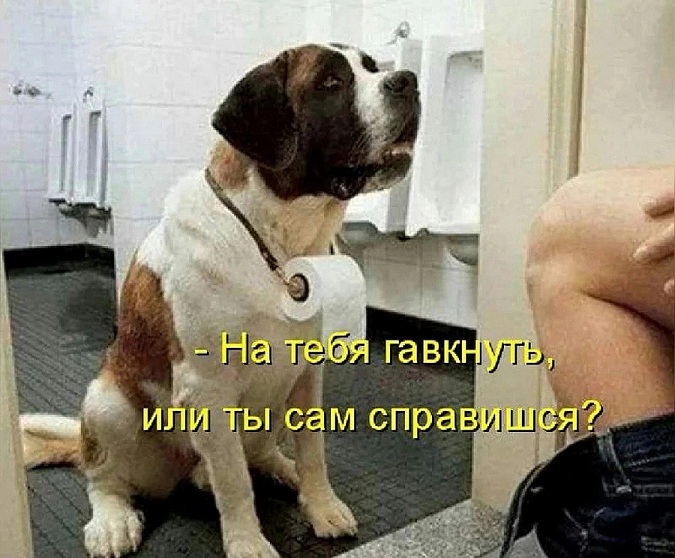 Очень улетные картинки Очень улетные картинки