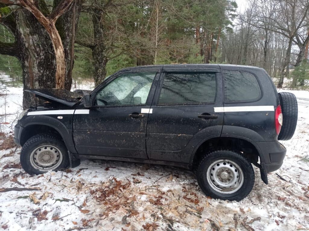 В Ряжском районе Chevrolet Niva врезалась в дерево, пострадали 2 человека