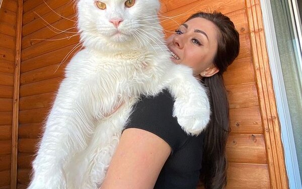 Нажми и смотри