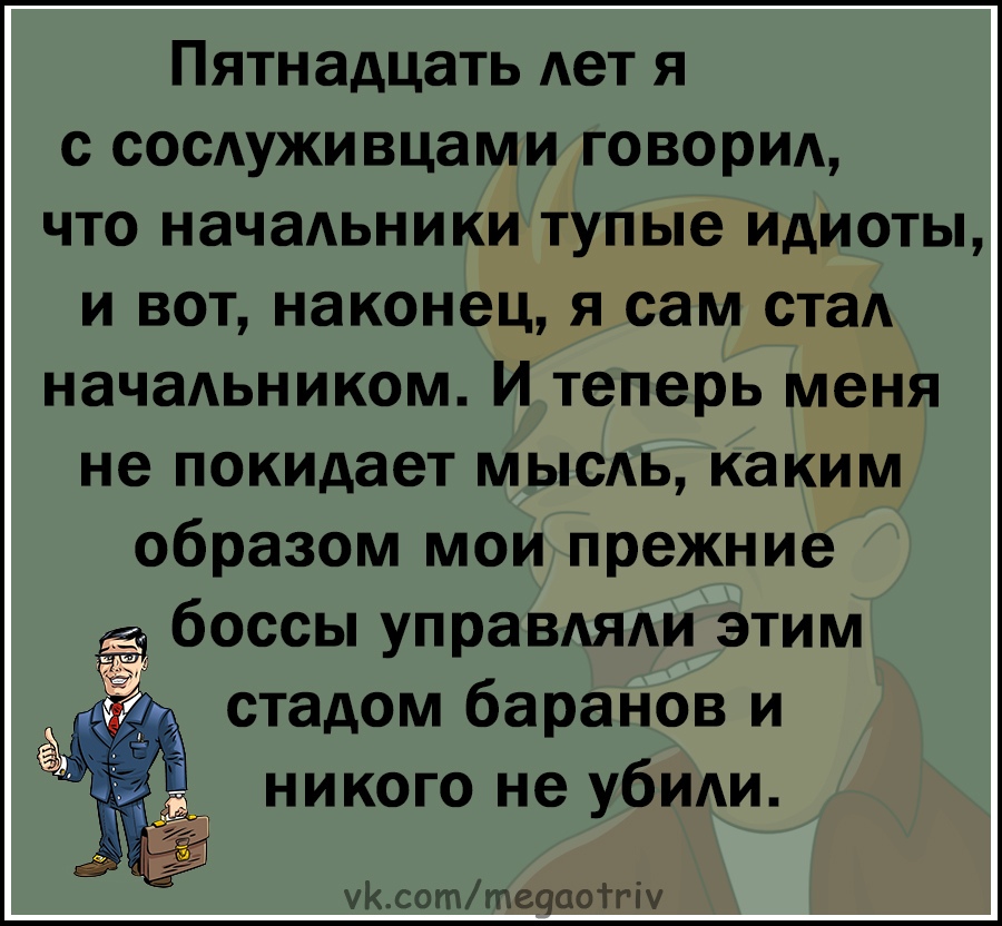 Юмор из интернета 743