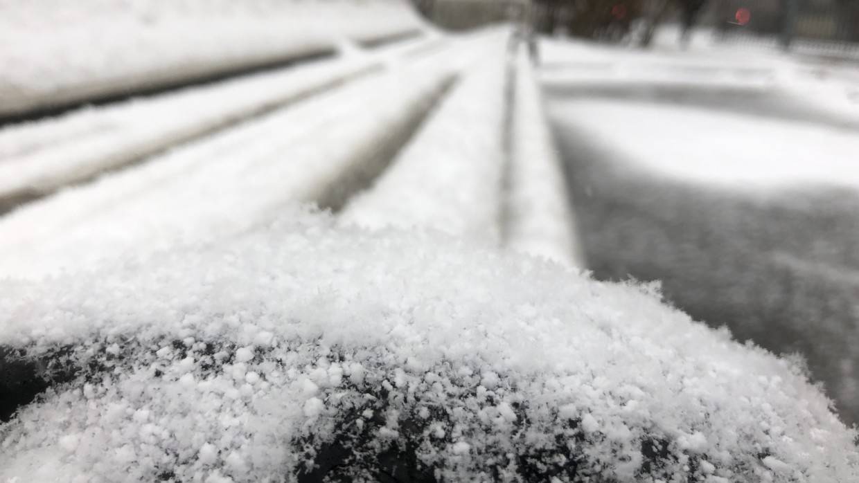 Спрогнозированный синоптиками мокрый снегопад начался в Москве Общество