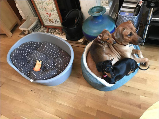 Субботний Фотопозитив 