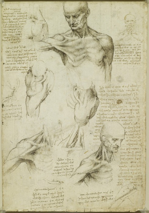 Leonardo-da-Vinchi15