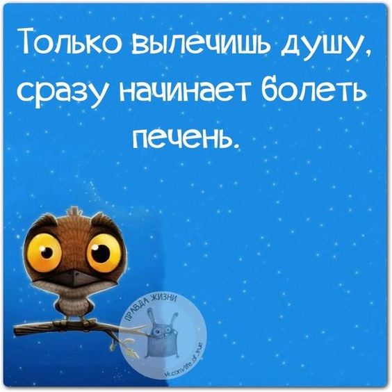 - Скажите, а окулист сегодня принимает? - Ой не спрашивайте, уже две недели не просыхает! давай, чтобы, спрашивает, слова, немного, будет, женщин, которые, придумали, позволь, половина, Какое, долларов, говорит, гласные, катали, поприкалываемся, просто, только, звуки