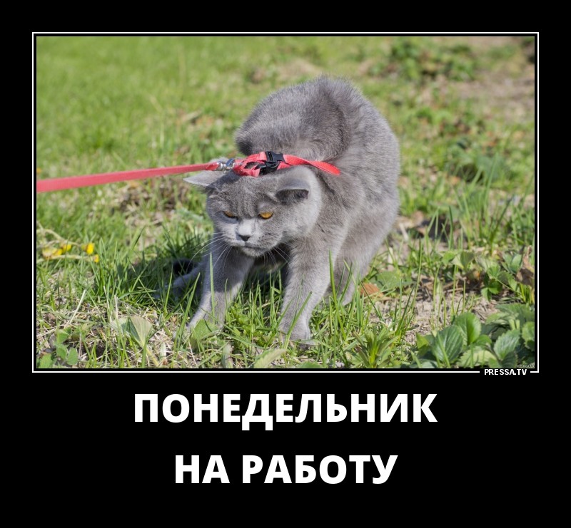 Отпуск кончился пора на работу картинки