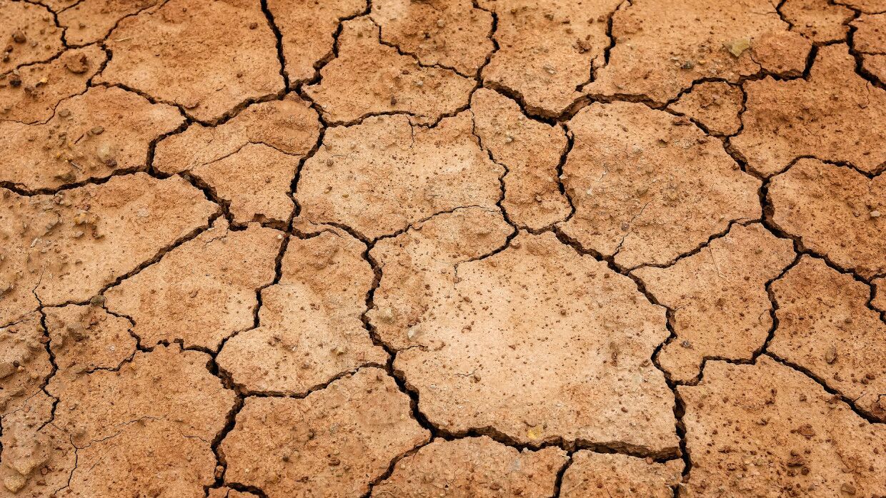 Прогнозисты не ожидают летней засухи на Кубани в этом году