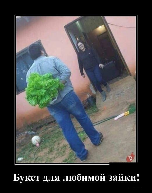 Новые демотиваторы. Черный юмор и издёвка со злорадством Новые демотиваторы. Черный юмор и издёвка со злорадством