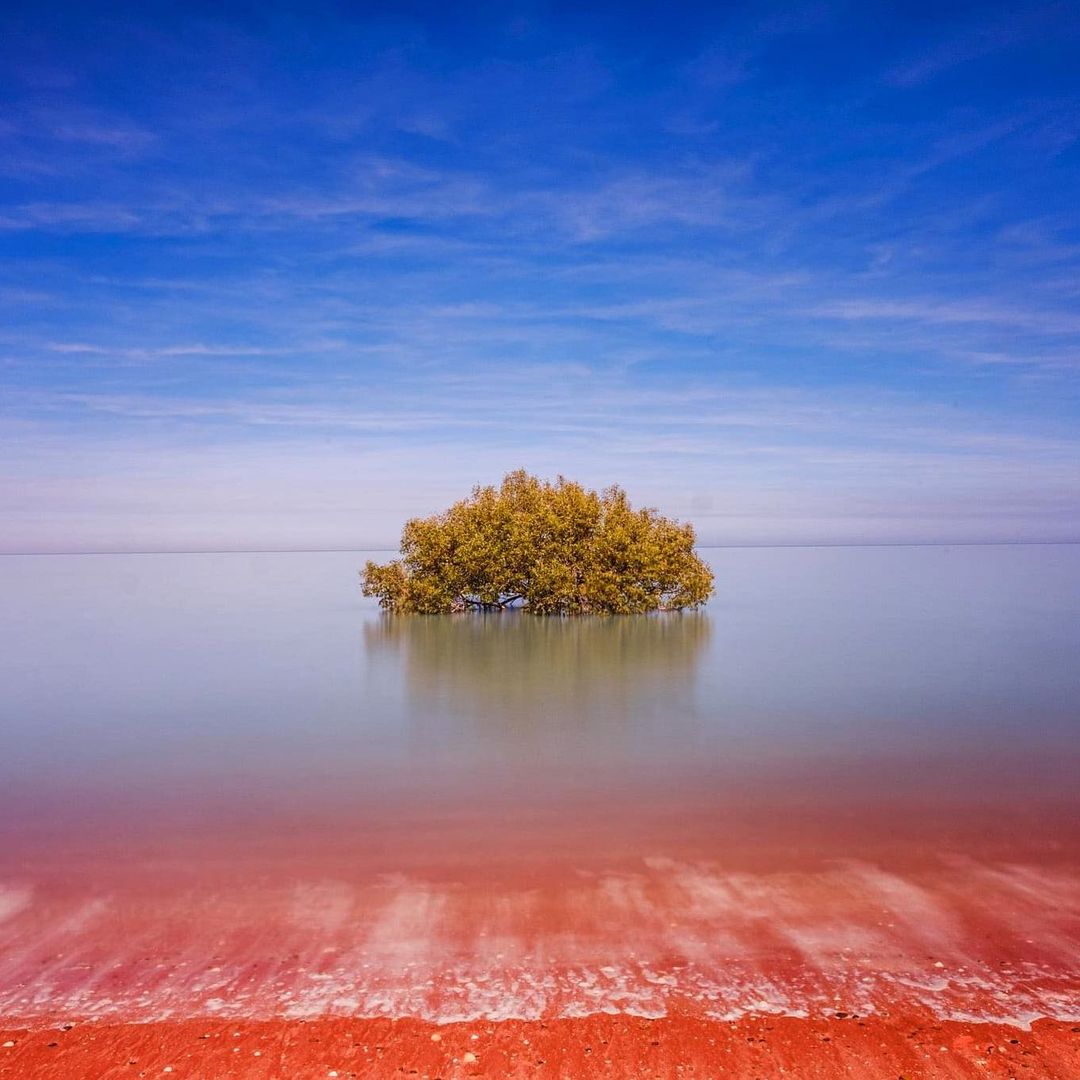 Брум австралия фото