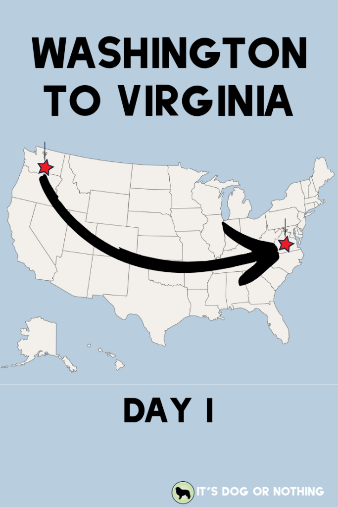 A recap of day one of our move from Washington to Virginia with four Great Pyrenees and a cat! | It's Dog or Nothing