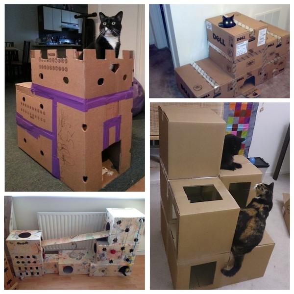 Игрушки для кошек своими руками: 8 идей для усатых и полосатых игрушки, кошки, можно, быстро, такие, чтобы, нужно, игрушек, поиграть, особых, потребуется, питомец, игрушку, сделать, Игрушки, времени, просто, Можно, которые, коробка