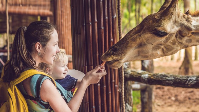 Woman holding baby feeding a giraffe