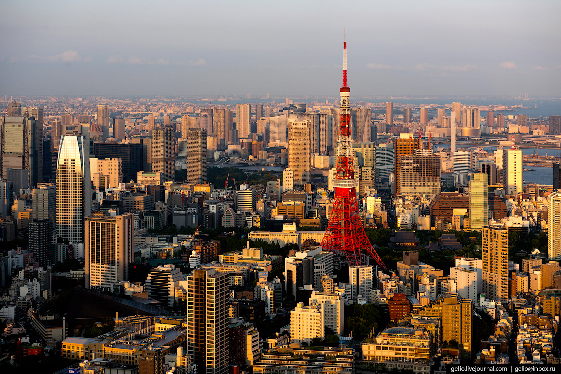 Столица японии токио фото