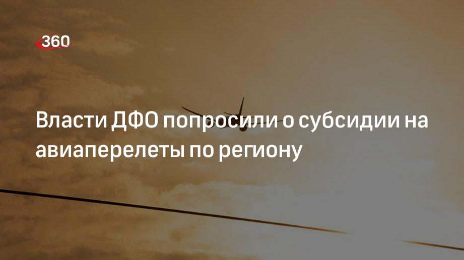 Путин рассмотрит возможность частичного субсидирования перелетов по ДФО