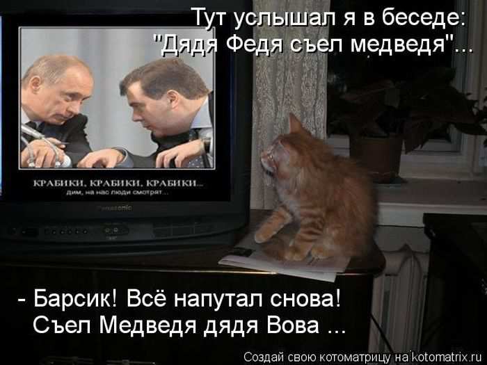 Кошарики :) Кошарики :)