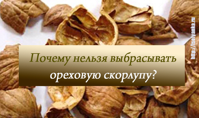 Скорлупа орехов вред. Скорлупа грецкого ореха применение в садоводстве. Скорлупа от орехов в огороде. Скорлупа от орехов применение. Улитка со скорлупой грецкого ореха.