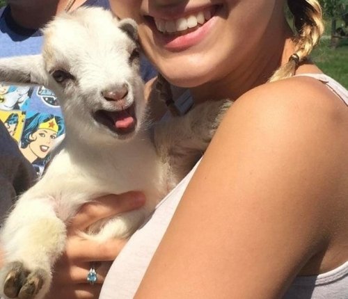 22 нежных детёныша, которые заставят вас полюбить весь мир 22 нежных детёныша, которые заставят вас полюбить весь мир