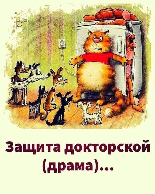 Юмор из интернета 652 позитив,смех,улыбки,юмор