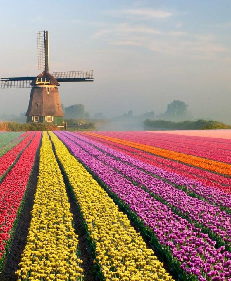 Прикольные фотографии и зачетные картинки из сети красивые фотографии,прикольные картинки,шикарные фотографии