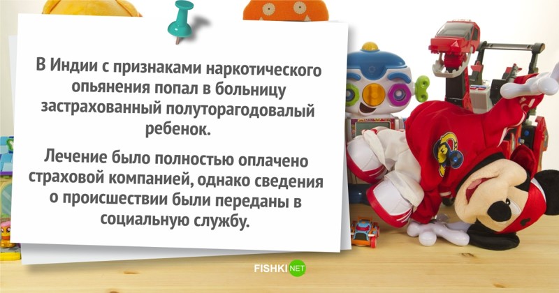 Ты страхуй, иль не страхуй, все равно получишь интересно, курьезы, смешно, страхование