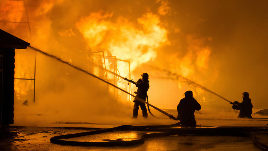МЧС: в Рязанской области загорелась усадьба, огонь локализован на 5 тыс. кв. м