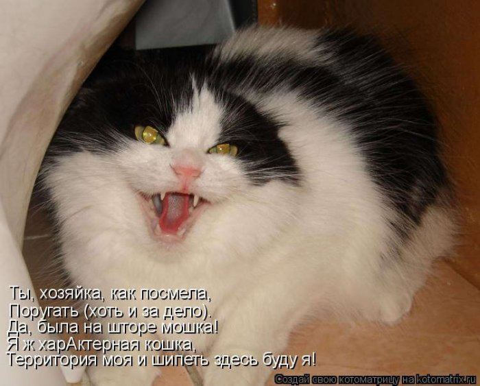 Мысли вслух :)