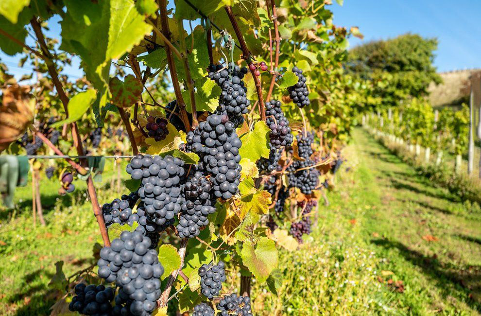 Осенние цвета Великобритании Осенние цвета Великобритании пейзажи