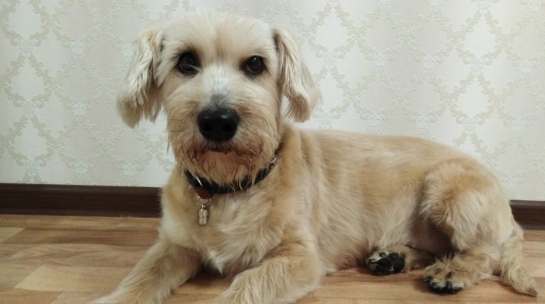 BeFunky-collage - 2020-04-30T145458.801