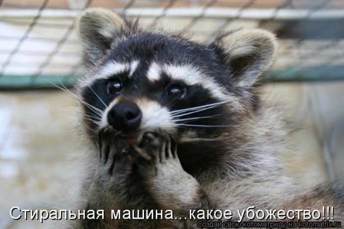 Мысли вслух :)